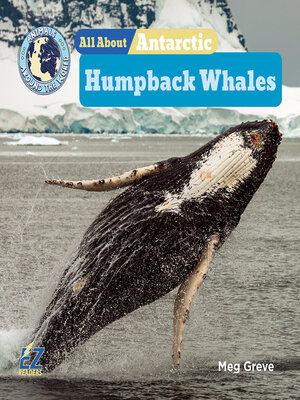 cover image of All About Antarctic Humpback Whales